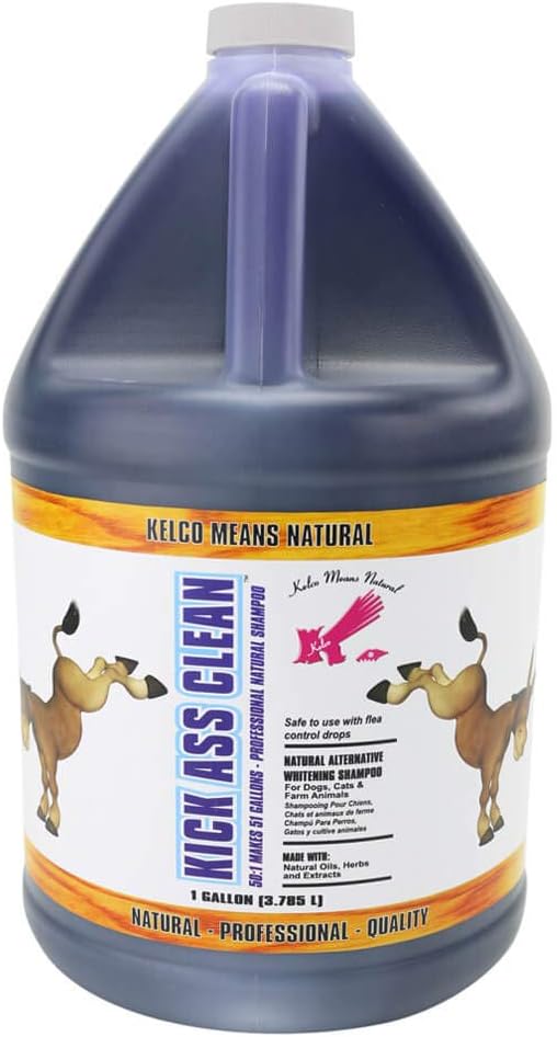 Kelco - KICK ASS CLEAN
